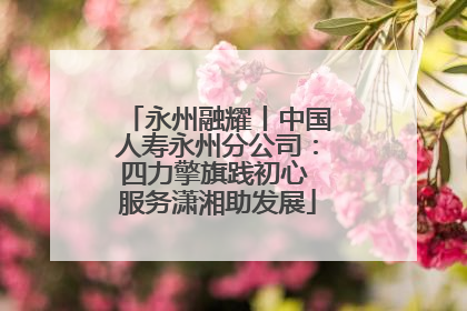 永州融耀丨中国人寿永州分公司：四力擎旗践初心 服务潇湘助发展