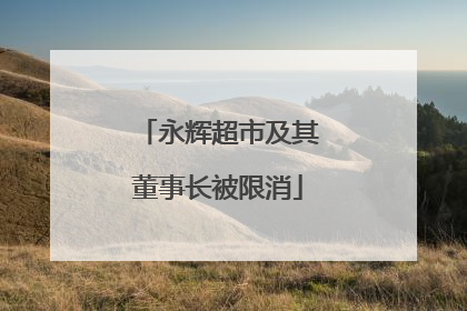 永辉超市及其董事长被限消