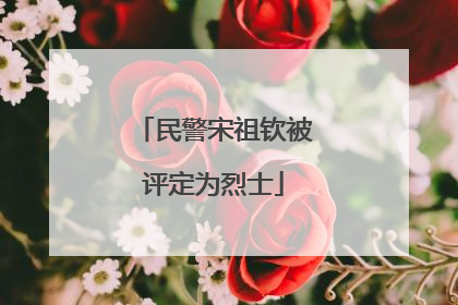 民警宋祖钦被评定为烈士