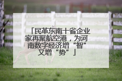 民革东南十省企业家再聚航空港，为河南数字经济增“智”又增“势”