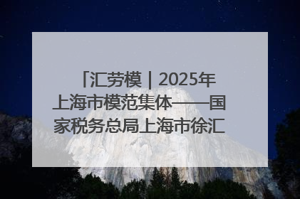 汇劳模｜2025年上海市模范集体——国家税务总局上海市徐汇区税务局第一税务所