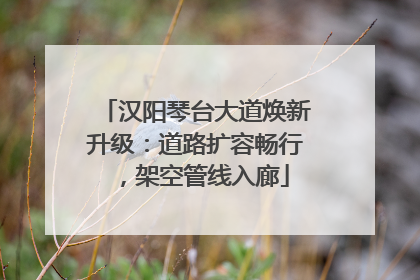 汉阳琴台大道焕新升级：道路扩容畅行，架空管线入廊