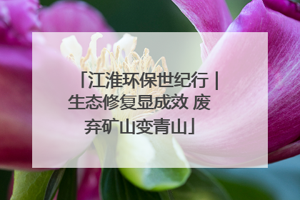 江淮环保世纪行｜生态修复显成效 废弃矿山变青山