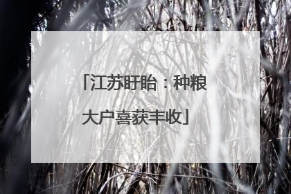 江苏盱眙：种粮大户喜获丰收