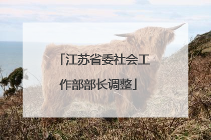 江苏省委社会工作部部长调整