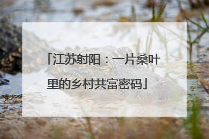 江苏射阳：一片桑叶里的乡村共富密码