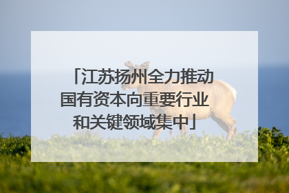 江苏扬州全力推动国有资本向重要行业和关键领域集中