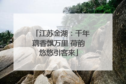 江苏金湖：千年藕香飘万里 荷韵悠悠引客来