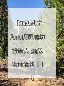 江西武宁：海南虎斑鳽幼雏破壳 濒危物种添新丁