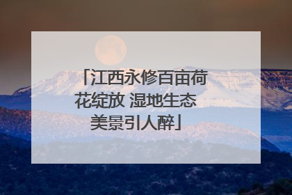 江西永修百亩荷花绽放 湿地生态美景引人醉