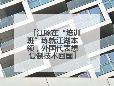 江豚在“培训班”练就江湖本领，外国代表想复制技术回国