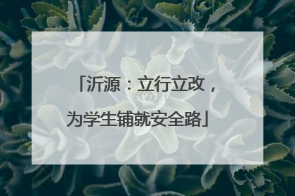 沂源：立行立改，为学生铺就安全路