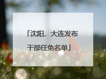 沈阳、大连发布干部任免名单