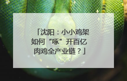 沈阳：小小鸡架如何“啄”开百亿肉鸡全产业链？