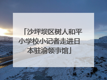 沙坪坝区树人和平小学校小记者走进日本驻渝领事馆