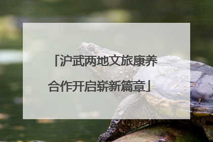 沪武两地文旅康养合作开启崭新篇章