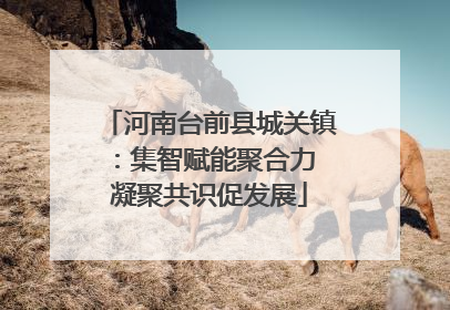 河南台前县城关镇：集智赋能聚合力 凝聚共识促发展