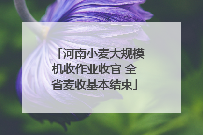 河南小麦大规模机收作业收官 全省麦收基本结束