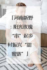 河南新野：阳光玫瑰“串”起乡村振兴“甜蜜链”