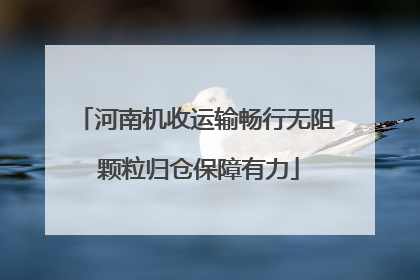 河南机收运输畅行无阻 颗粒归仓保障有力