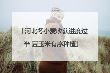 河北冬小麦收获进度过半 夏玉米有序种植