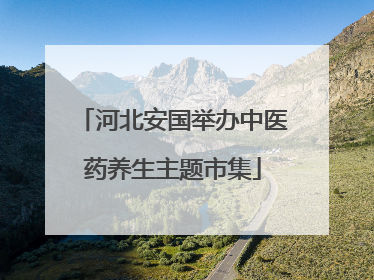 河北安国举办中医药养生主题市集