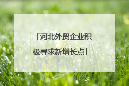 河北外贸企业积极寻求新增长点