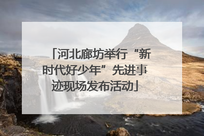 河北廊坊举行“新时代好少年”先进事迹现场发布活动