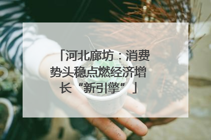 河北廊坊：消费势头稳点燃经济增长“新引擎”