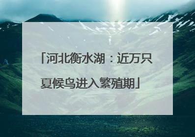 河北衡水湖：近万只夏候鸟进入繁殖期