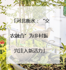 河北衡水：“交农融合”为乡村振兴注入新活力