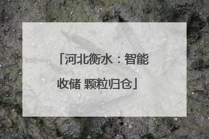 河北衡水：智能收储 颗粒归仓