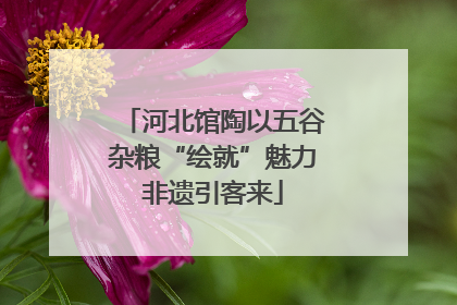 河北馆陶以五谷杂粮“绘就”魅力非遗引客来
