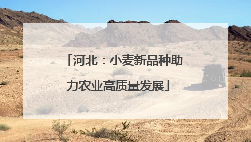 河北：小麦新品种助力农业高质量发展