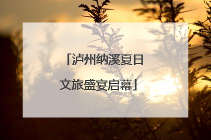 泸州纳溪夏日文旅盛宴启幕