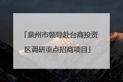 泉州市领导赴台商投资区调研重点招商项目