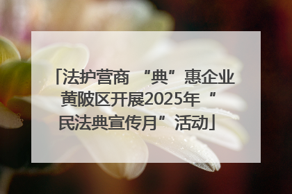 法护营商 “典”惠企业 黄陂区开展2025年“民法典宣传月”活动
