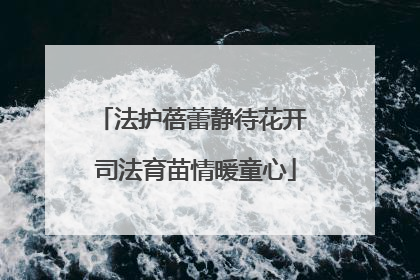 法护蓓蕾静待花开 司法育苗情暖童心