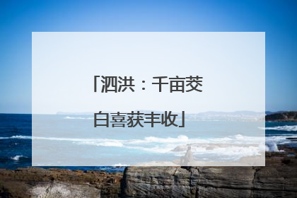 泗洪：千亩茭白喜获丰收