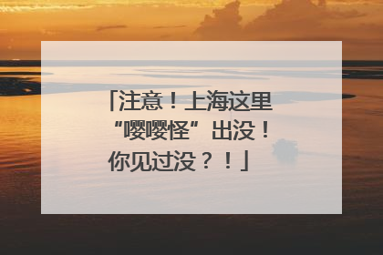 注意！上海这里“嘤嘤怪”出没！你见过没？！