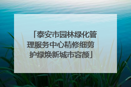 泰安市园林绿化管理服务中心精修细剪护绿焕新城市容颜