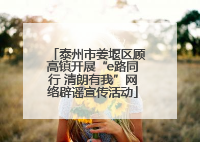 泰州市姜堰区顾高镇开展“e路同行 清朗有我”网络辟谣宣传活动