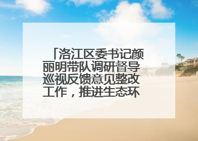 洛江区委书记颜丽明带队调研督导巡视反馈意见整改工作，推进生态环境保护建设