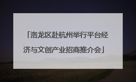 洛龙区赴杭州举行平台经济与文创产业招商推介会