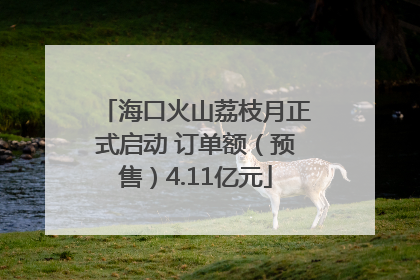 海口火山荔枝月正式启动 订单额（预售）4.11亿元