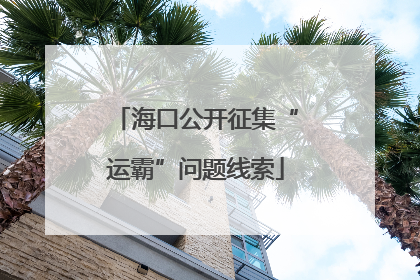 海口公开征集“运霸”问题线索