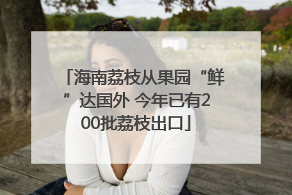 海南荔枝从果园“鲜”达国外 今年已有200批荔枝出口