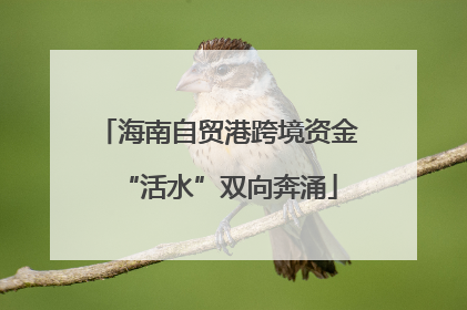 海南自贸港跨境资金“活水”双向奔涌