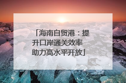 海南自贸港：提升口岸通关效率 助力高水平开放