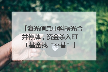 海光信息中科曙光合并停牌，资金杀入ETF基金找“平替”